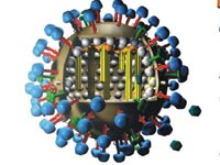A close-up of a flu virus.