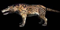 Mammals like Andrewsarchus evolved after the dinosaurs died out but went extinct themselves.