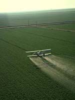 Bt-crops are better than large-scale insecticide spraying.