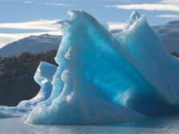 Icebergs are hotspots for Antarctic life.