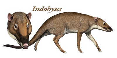 Indohyus